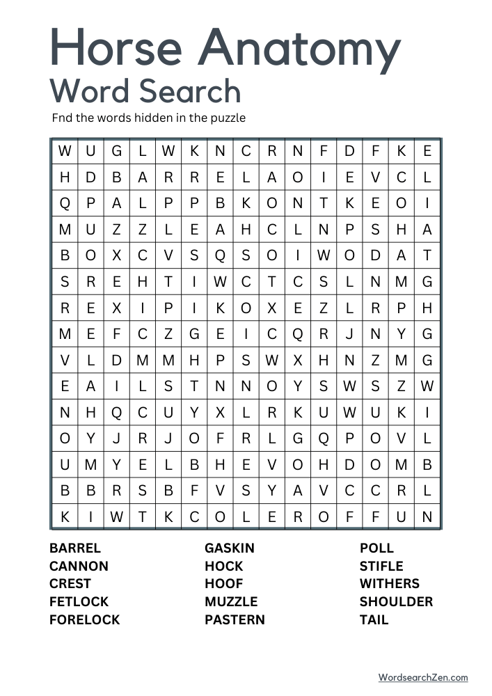 Horse-Anatomy-Word-Search