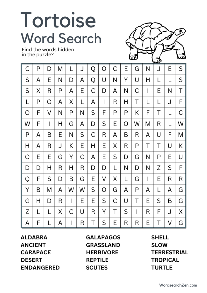 Tortoise-Word-Search