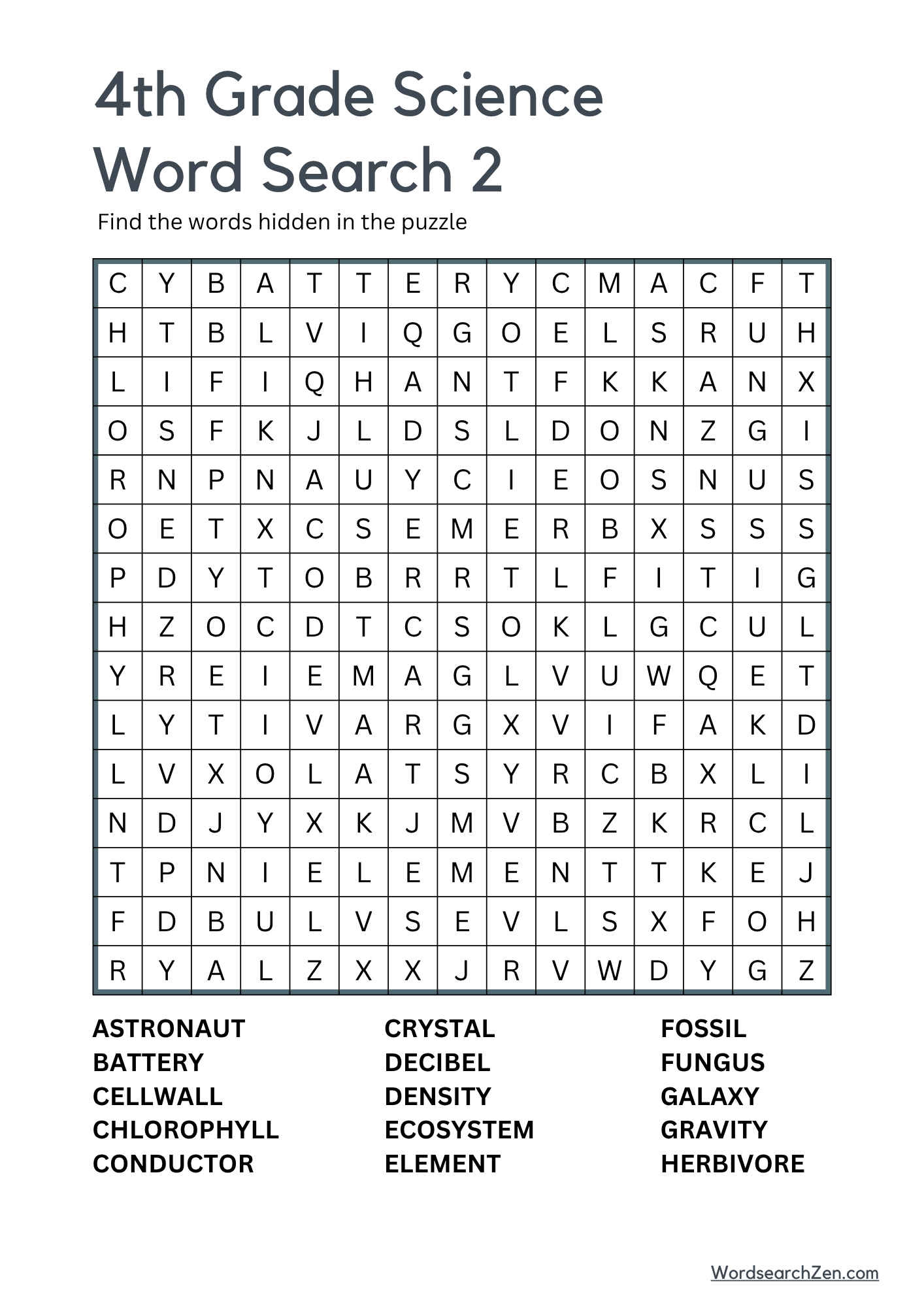 4th Grade Science Word Search 2