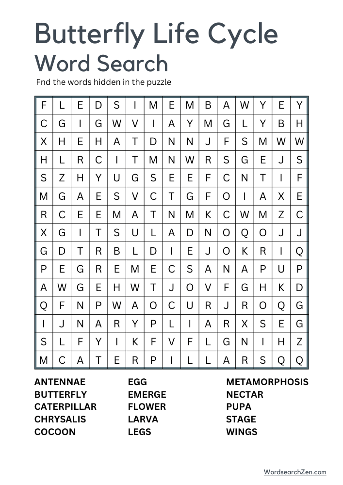 Butterfly-Life-Cycle-Word-Search