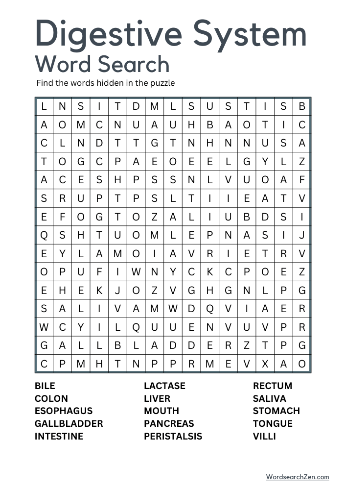 Digestive-System-Word-Search