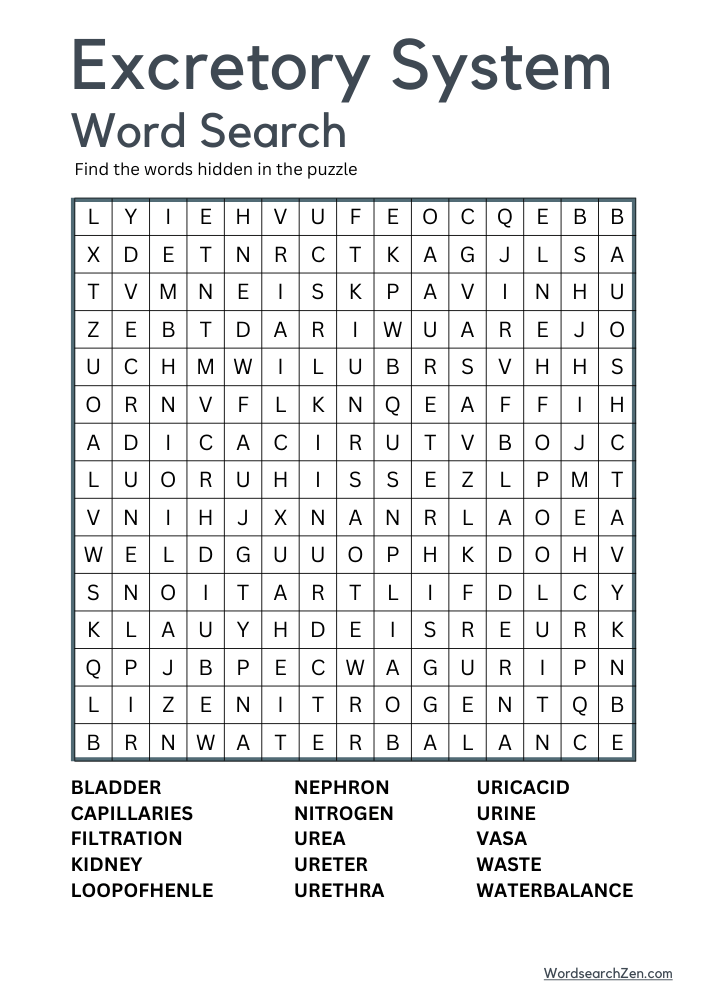 Excretory-System-Word-Search