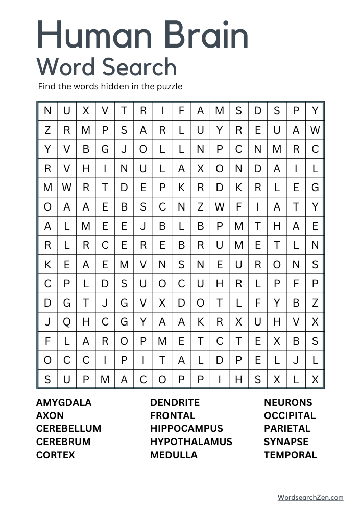 Human Brain Word Search Free Printable PDF File - WordsearchZen.com