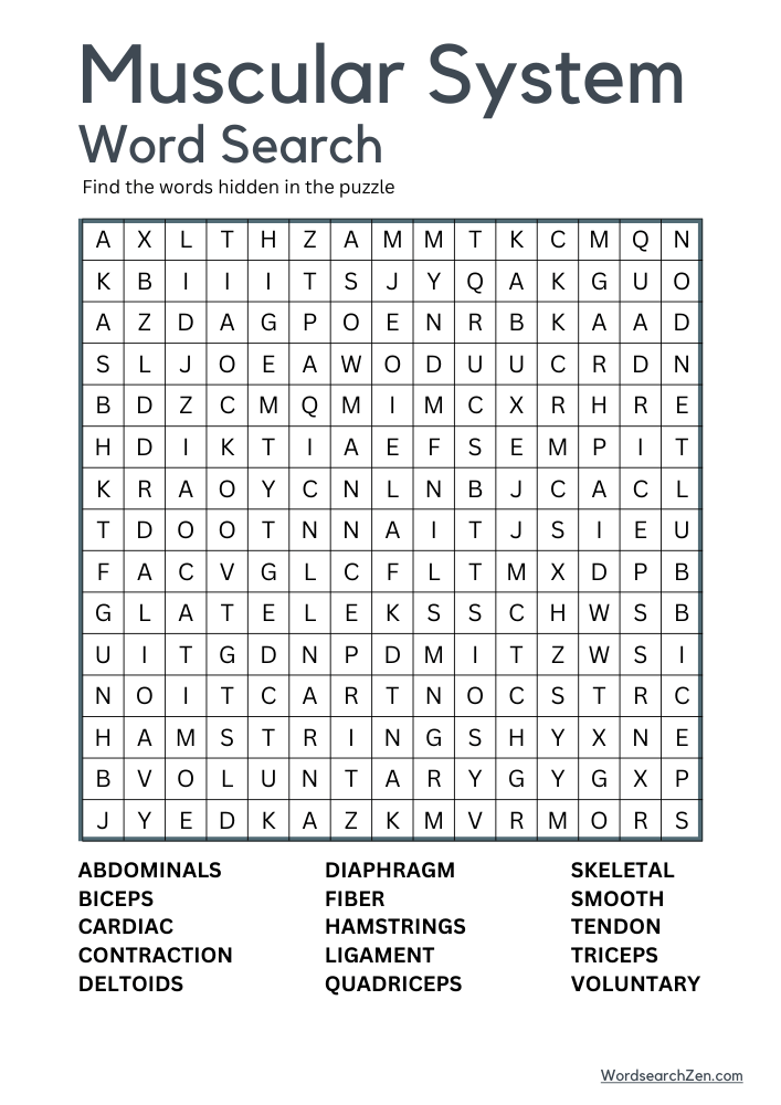 Muscular-System-Word-Search