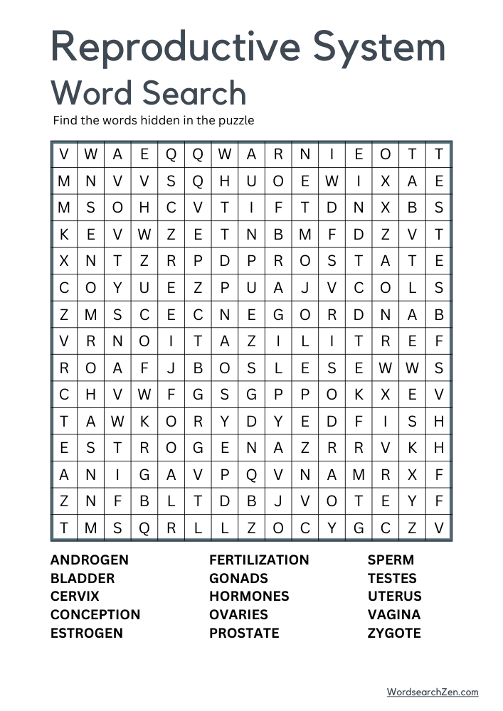 Reproductive-System-Word-Search