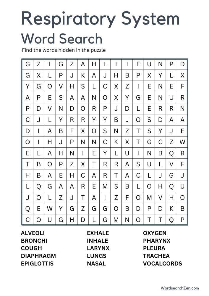 Respiratory-System-Word-Search