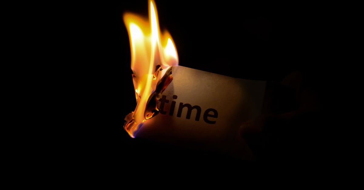 Large Print Word Searches: A Fun Way to Boost Vocabulary