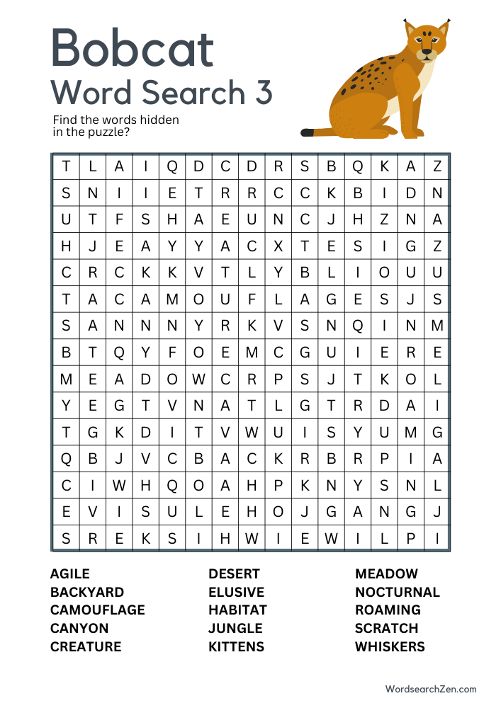 Bobcat Word Search 3