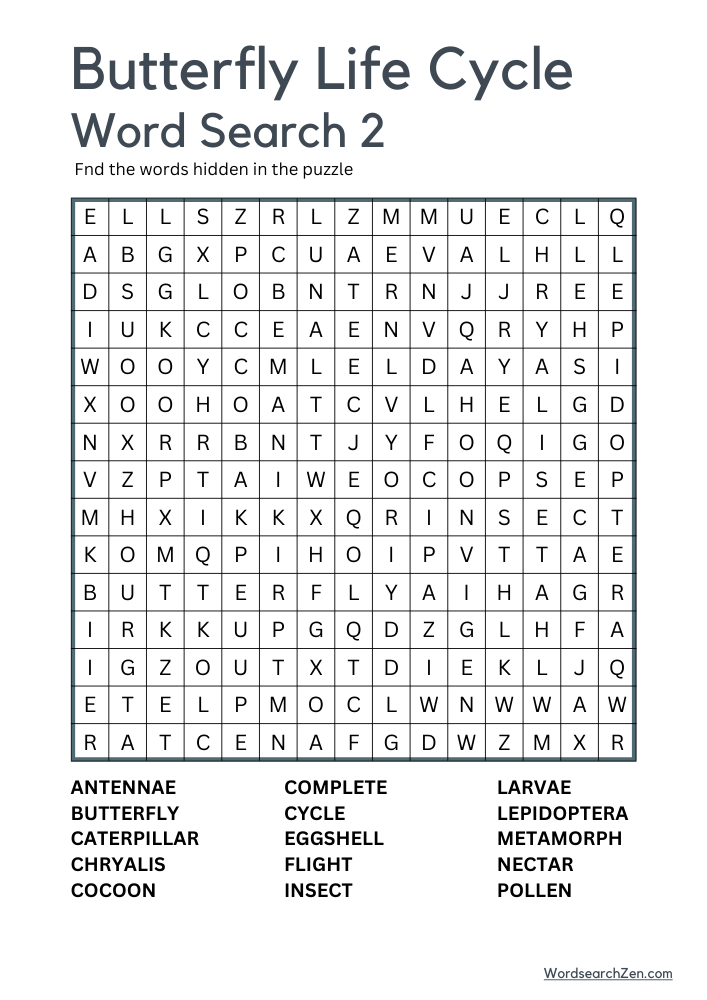 Butterfly Life Cycle Word Search 2