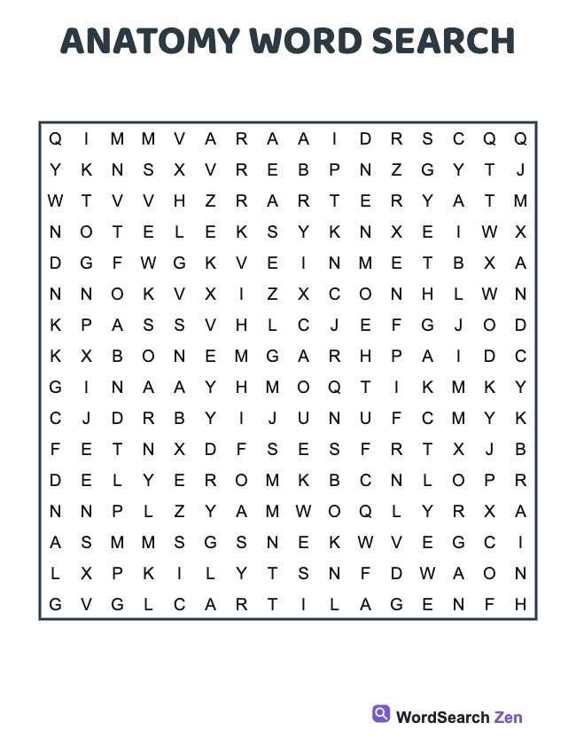 Anatomy Word Search