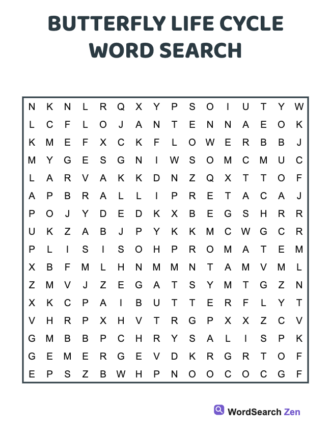 Butterfly Life Cycle Word Search