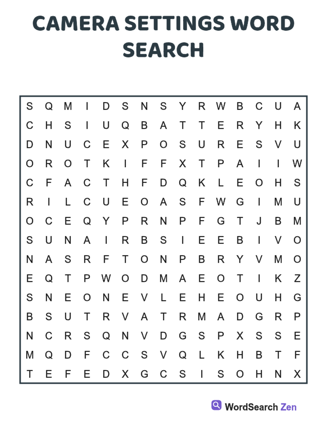 Camera Settings Word Search printable puzzle sheet