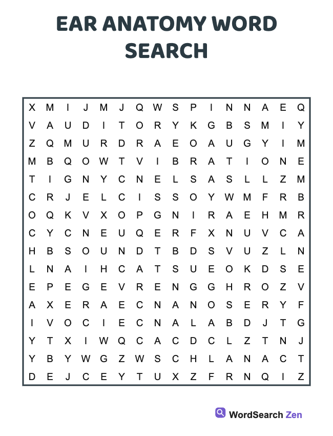 Ear Anatomy Word Search