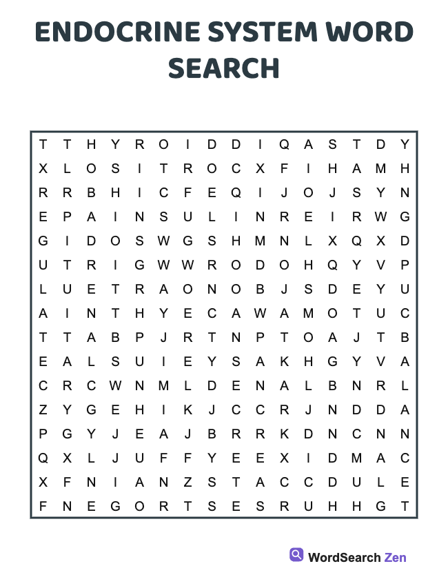 Endocrine System Word Search