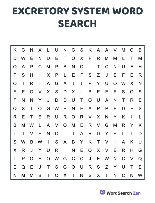 Excretory System Word Search