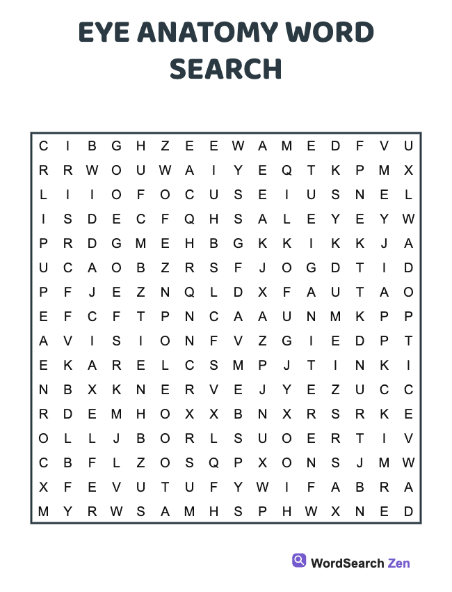 Eye Anatomy Word Search