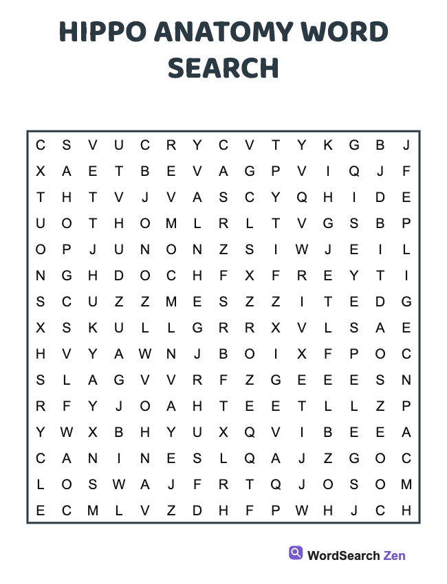 Hippo Anatomy Word Search