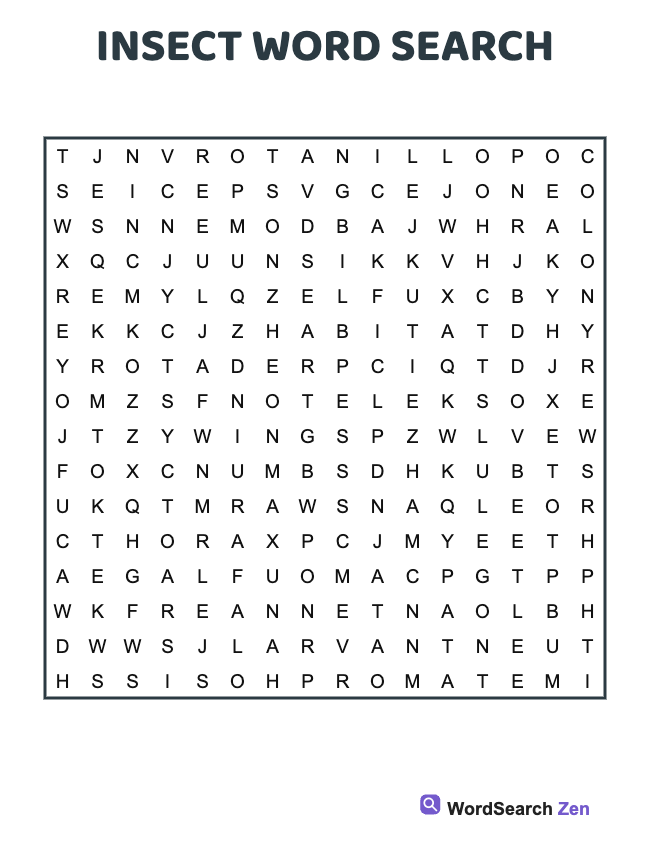 Insect Word Search