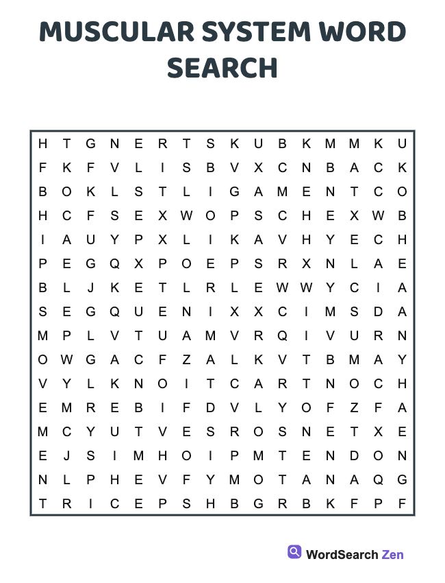 Muscular System Word Search
