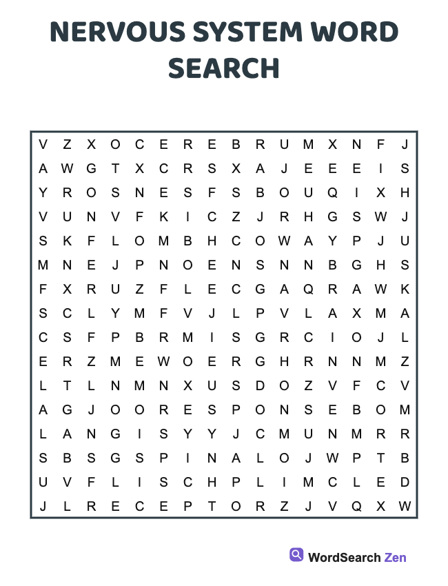 Nervous System Word Search